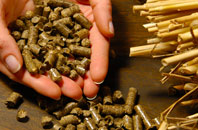 free Colpy biomass boiler quotes